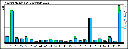 Hourly usage