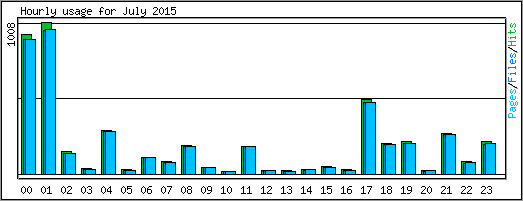 Hourly usage