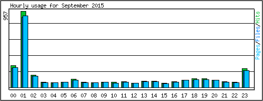 Hourly usage