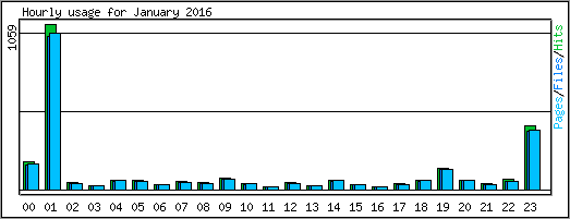 Hourly usage