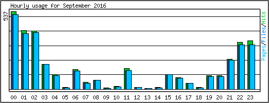 Hourly usage