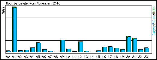 Hourly usage