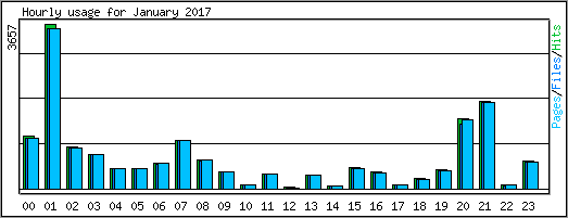 Hourly usage