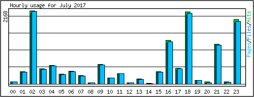 Hourly usage