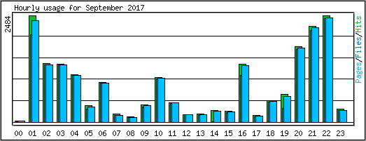 Hourly usage