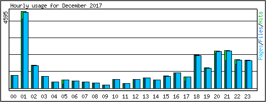 Hourly usage